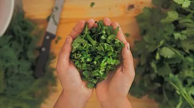 garnishing-instructions-image